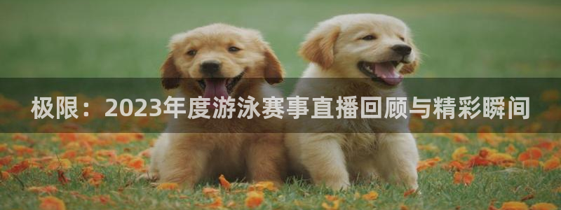 极限：2023年度游泳赛事直播回顾与精彩瞬间